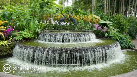 6802-03_Magische-Wunderwelt-Malaysia-und-Singapur_content_1920x1080px_brunnen_singapur_WKZ-placeholder